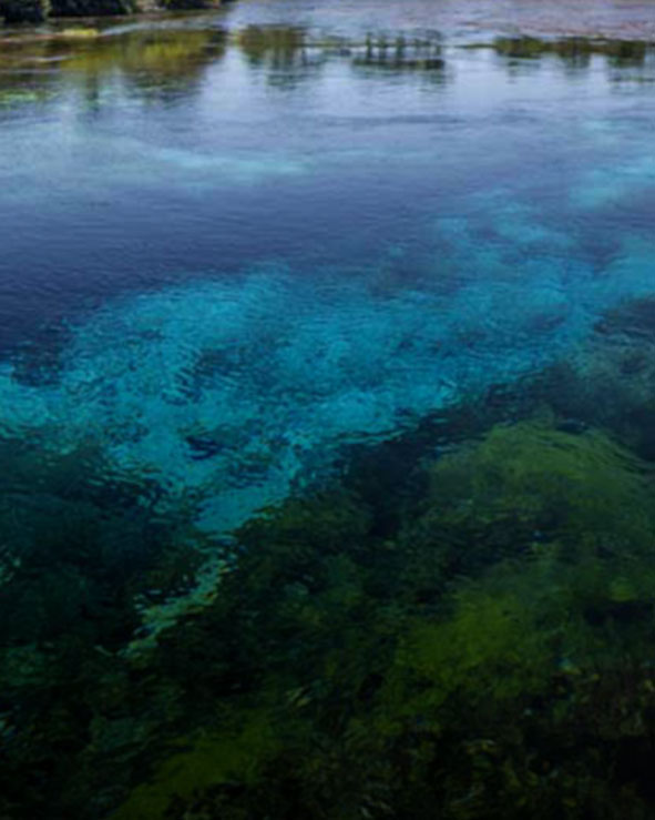 Welcome to Bookme online bookings for activities and attractions in New Zealand's Abel Tasman , Nelson and Blenheim regions. Find fantastic deals and discounts on activities and adventures including, Abel Tasman kayaking, scenic flights, Farewell spit eco tours, mountain biking, Buller river rafting and Abel Tasman skydiving.